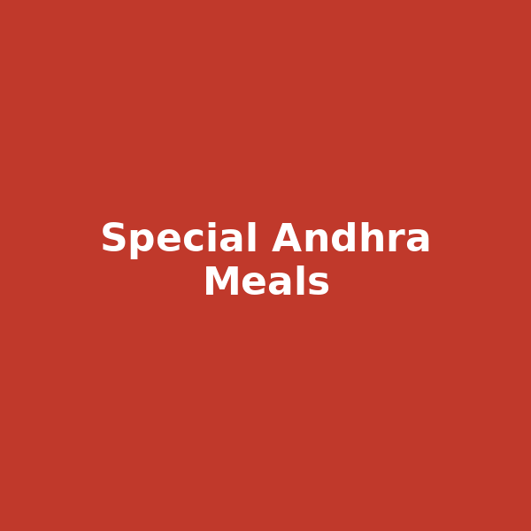Special Andhra Meals